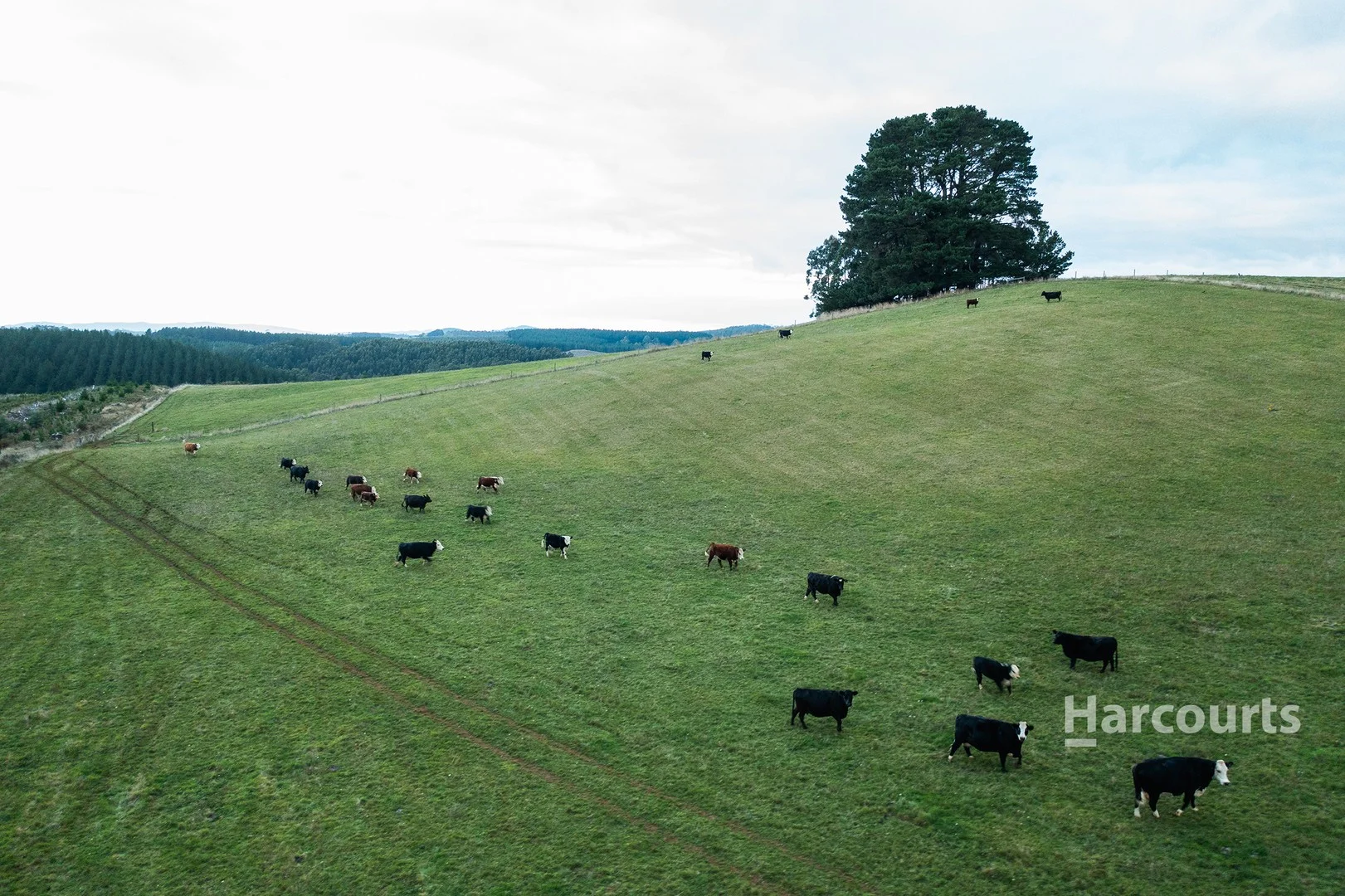 Additional image 2 of 1477 Preston Road, Preston TAS 7315