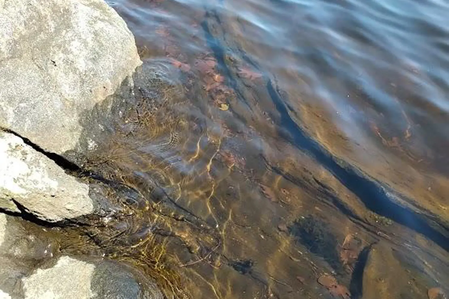 Additional image 5 of 153 Highway 124