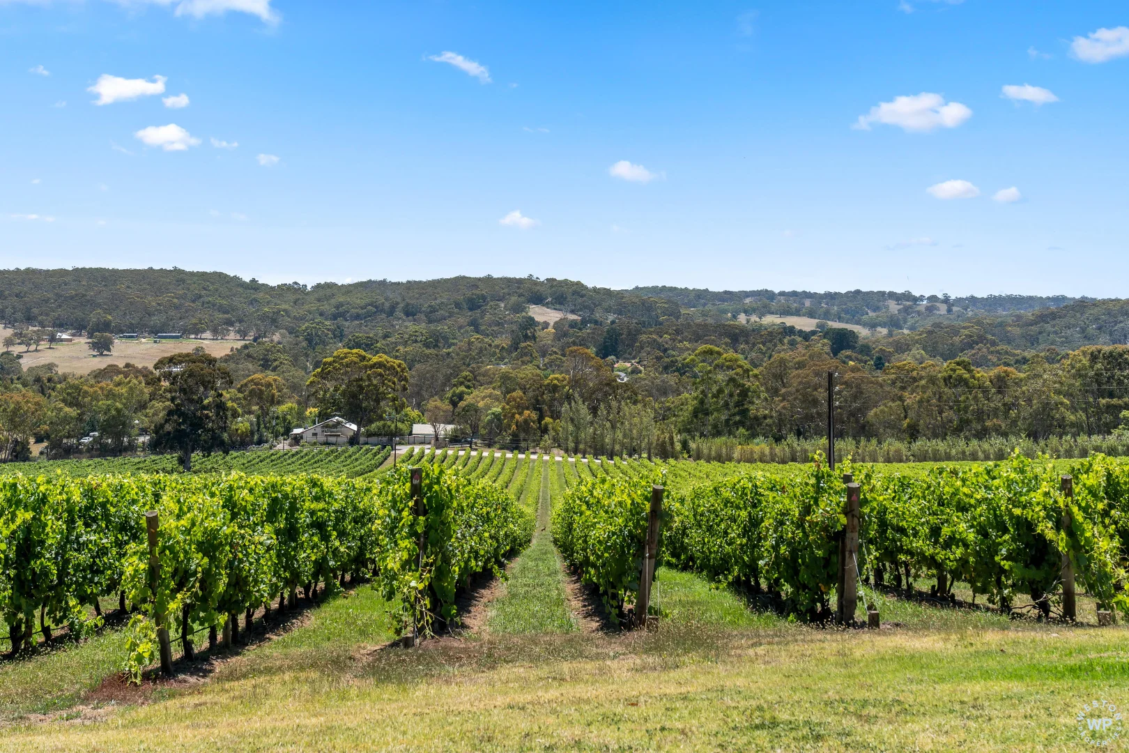 Additional image 20 of 71 Davis Road, Macclesfield SA 5153