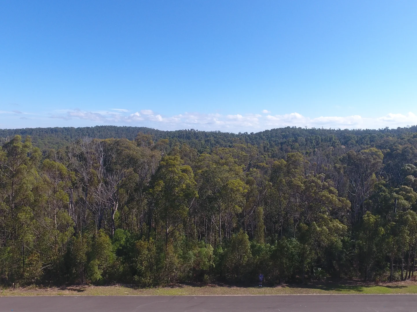 Additional image 6 of 64 Yarrabee Drive, Catalina NSW 2536