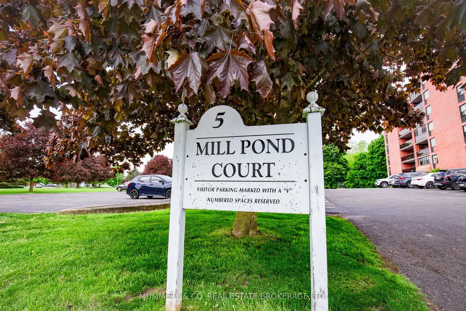 Additional image 20 of 5 Mill Pond Court 704