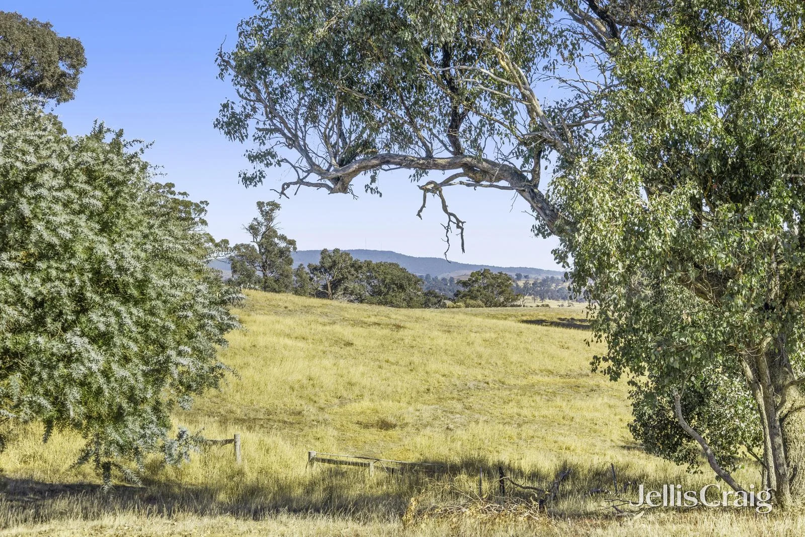 Additional image 18 of 99 Racecourse Road, Redesdale VIC 3444
