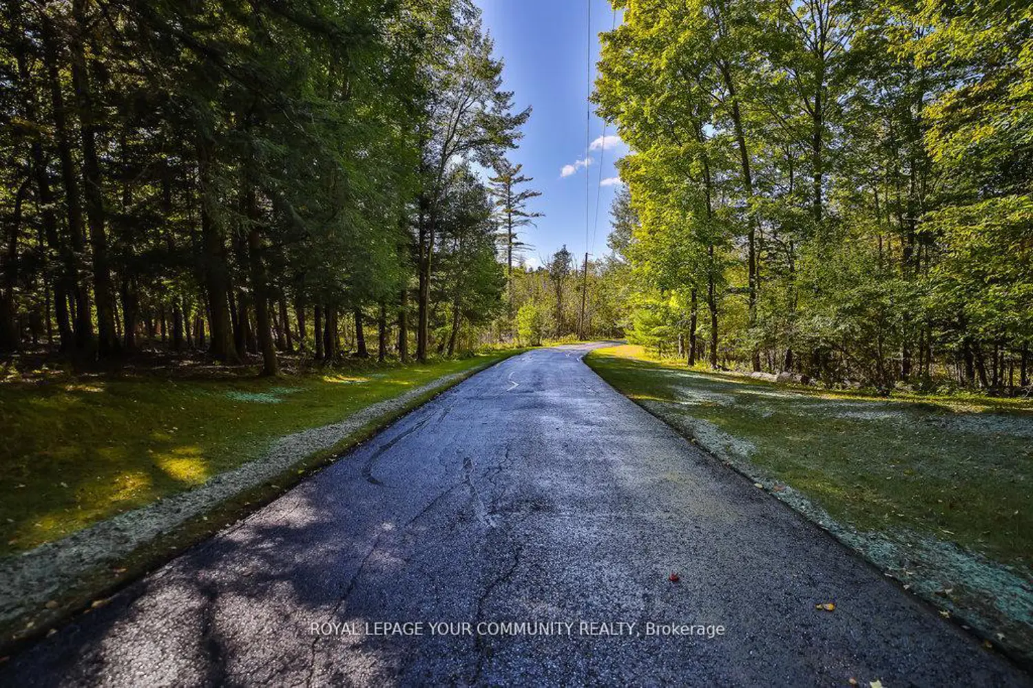 Additional image 17 of 8339 Finnerty Side Road