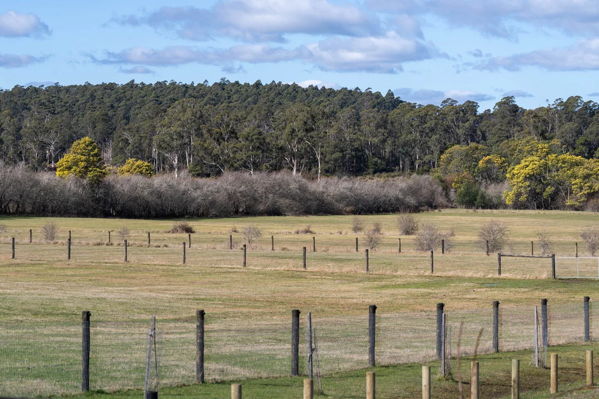 Additional image 23 of 1470 Birralee Road, Birralee TAS 7303