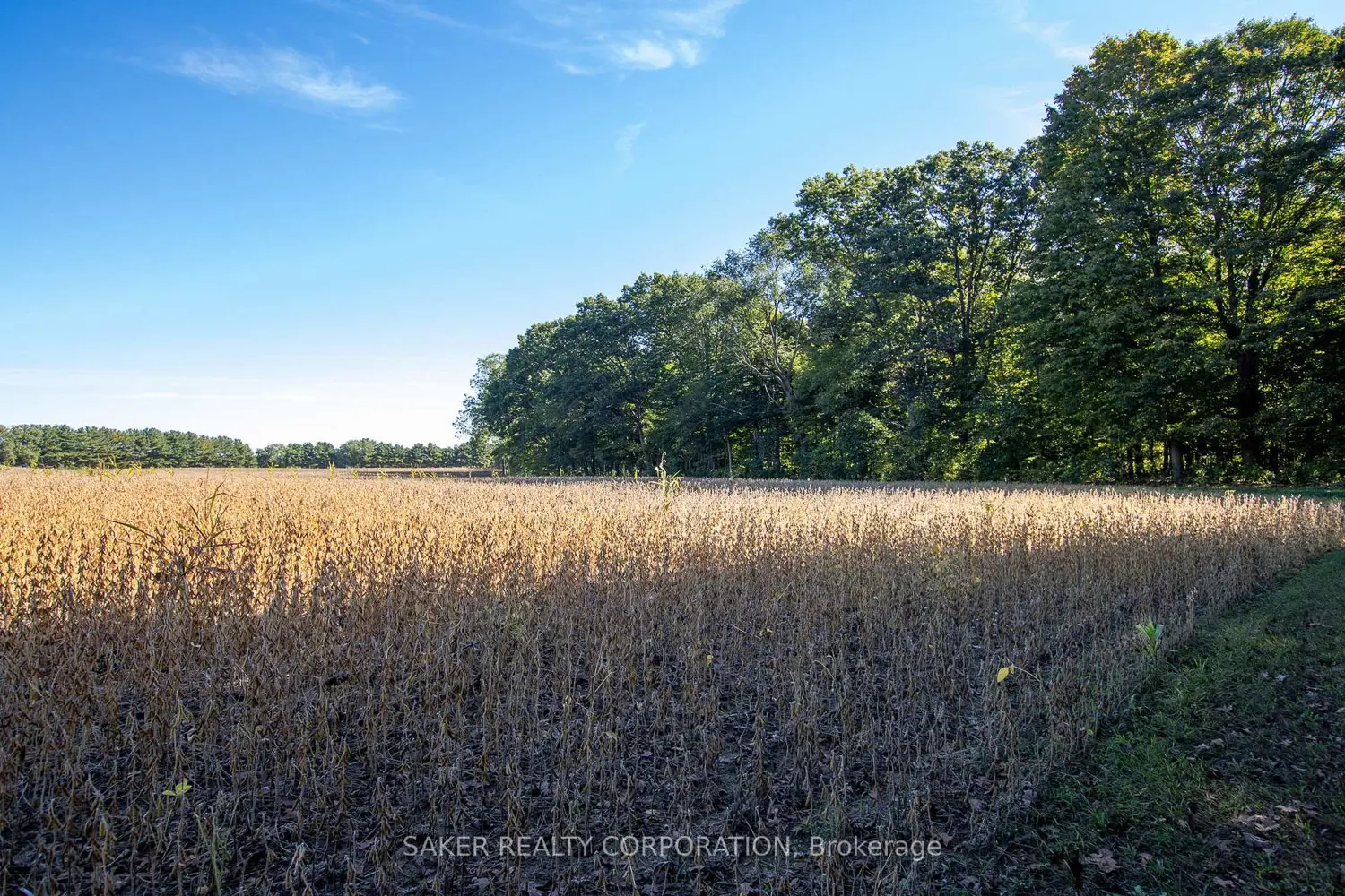 Additional image 5 of 22560 Troops Road
