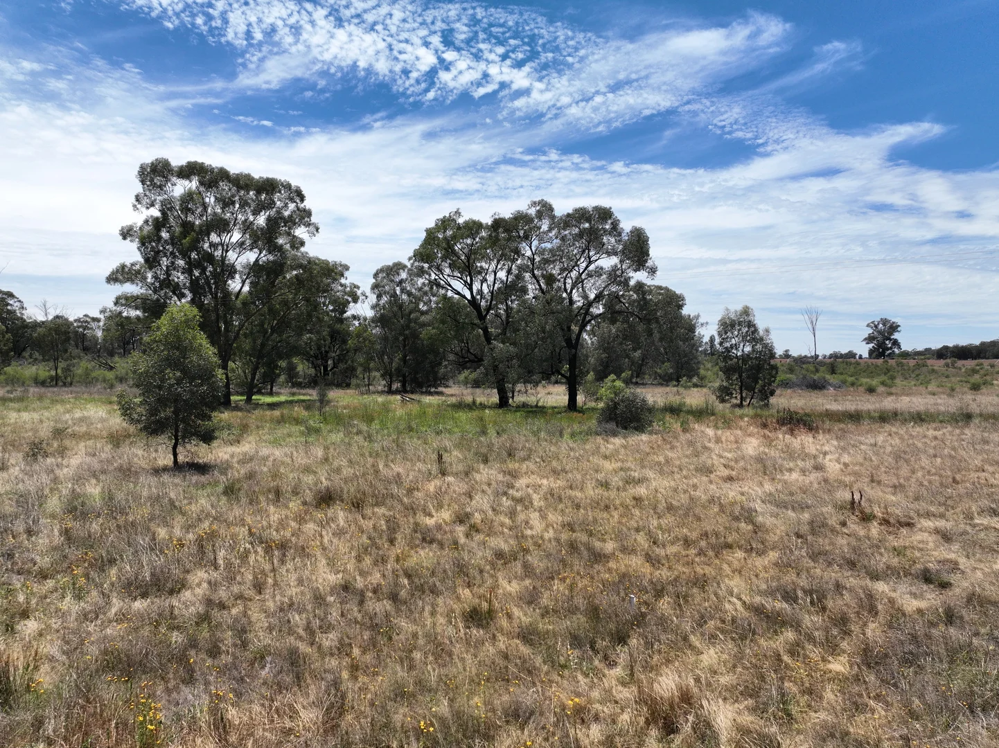 Additional image 8 of Tree Tops Estate 128R Minore Road, Dubbo NSW 2830