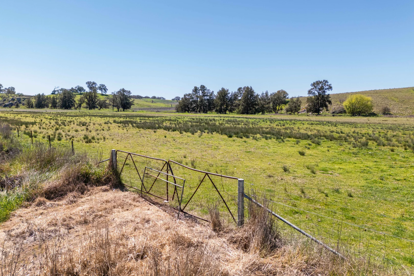 Additional image 18 of Lot 1-5 Market Street, Molong NSW 2866