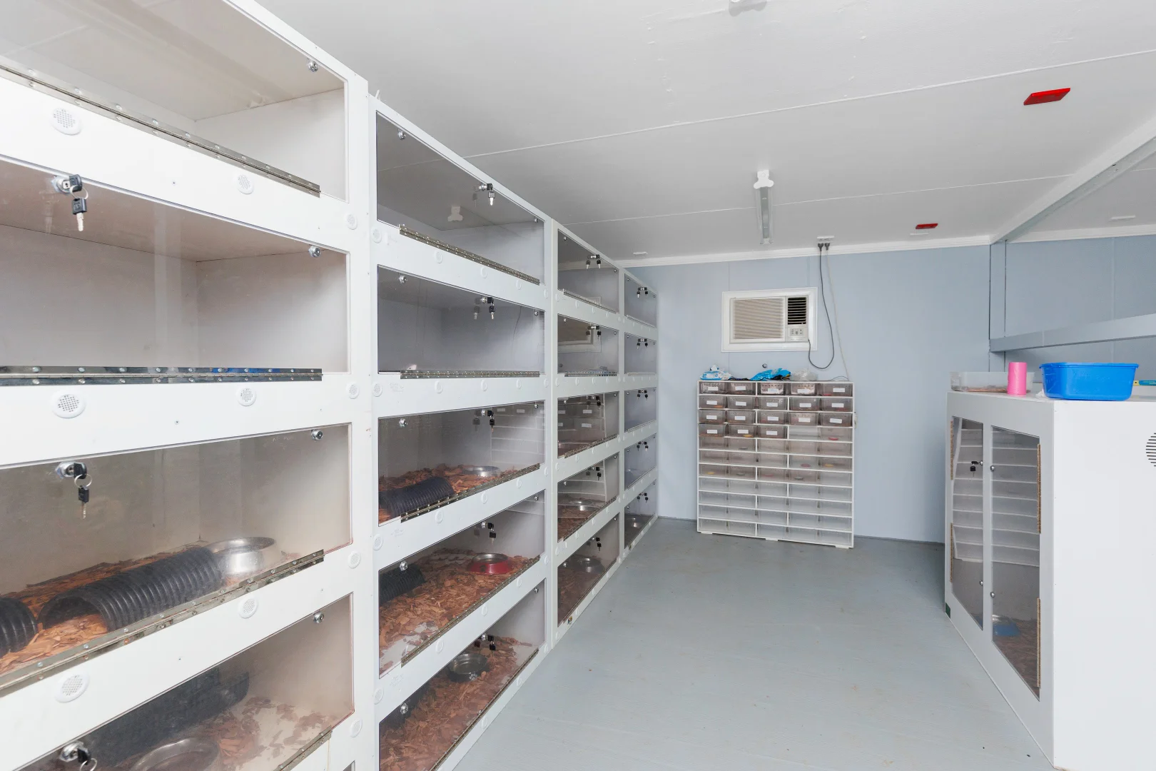 Additional image 18 of 5910 Gundagai Road, Junee NSW 2663