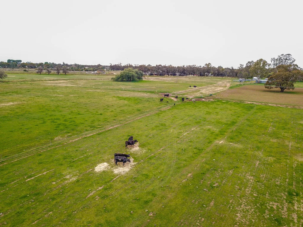 Additional image 31 of 'Kindimindi' 6176 Wakool Road, Wakool NSW 2710