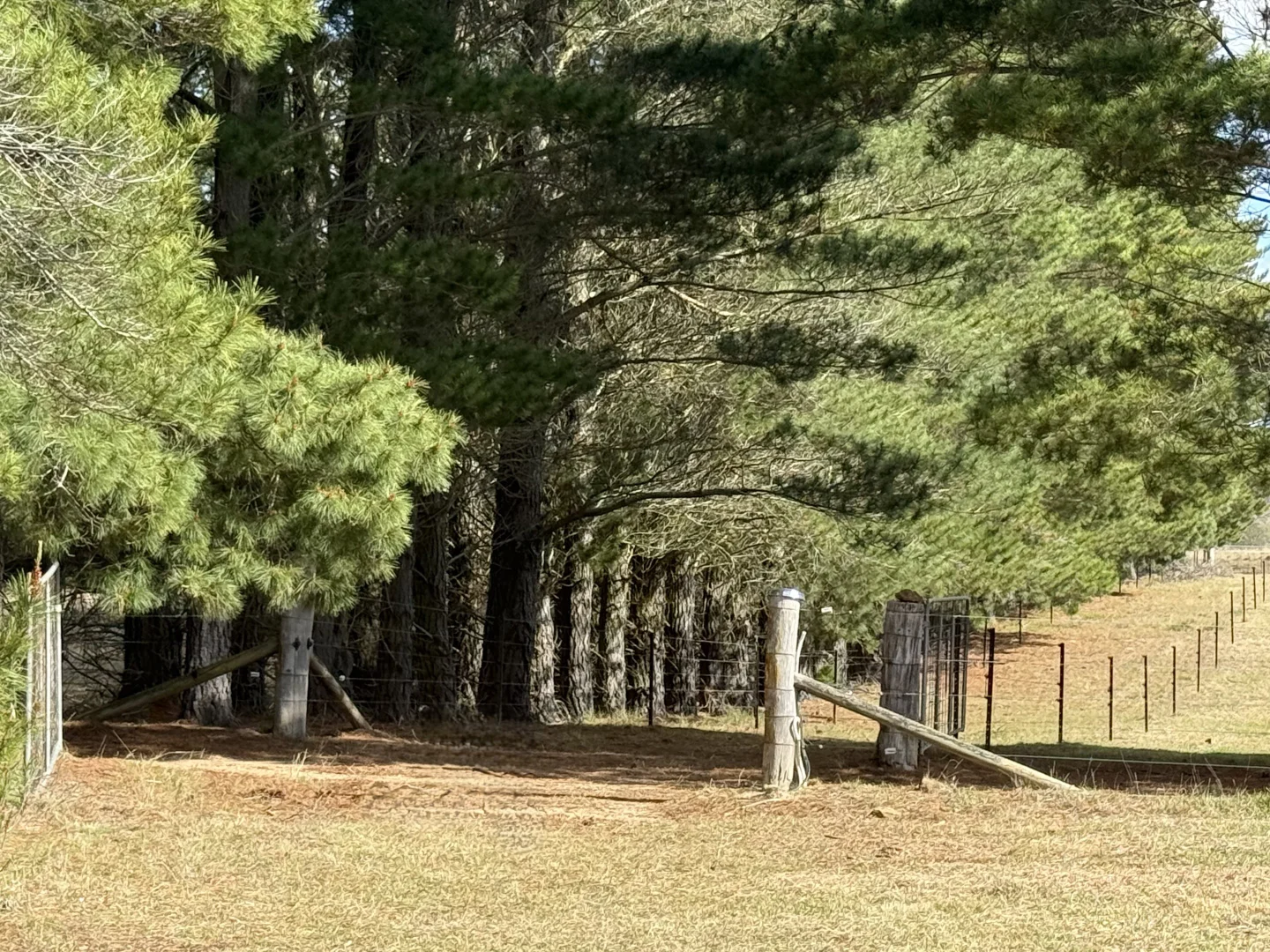 Additional image 30 of 489 Jacqua Rd, Windellama NSW 2580