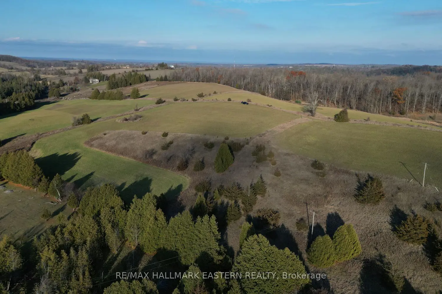 Additional image 11 of 461 Concession 11