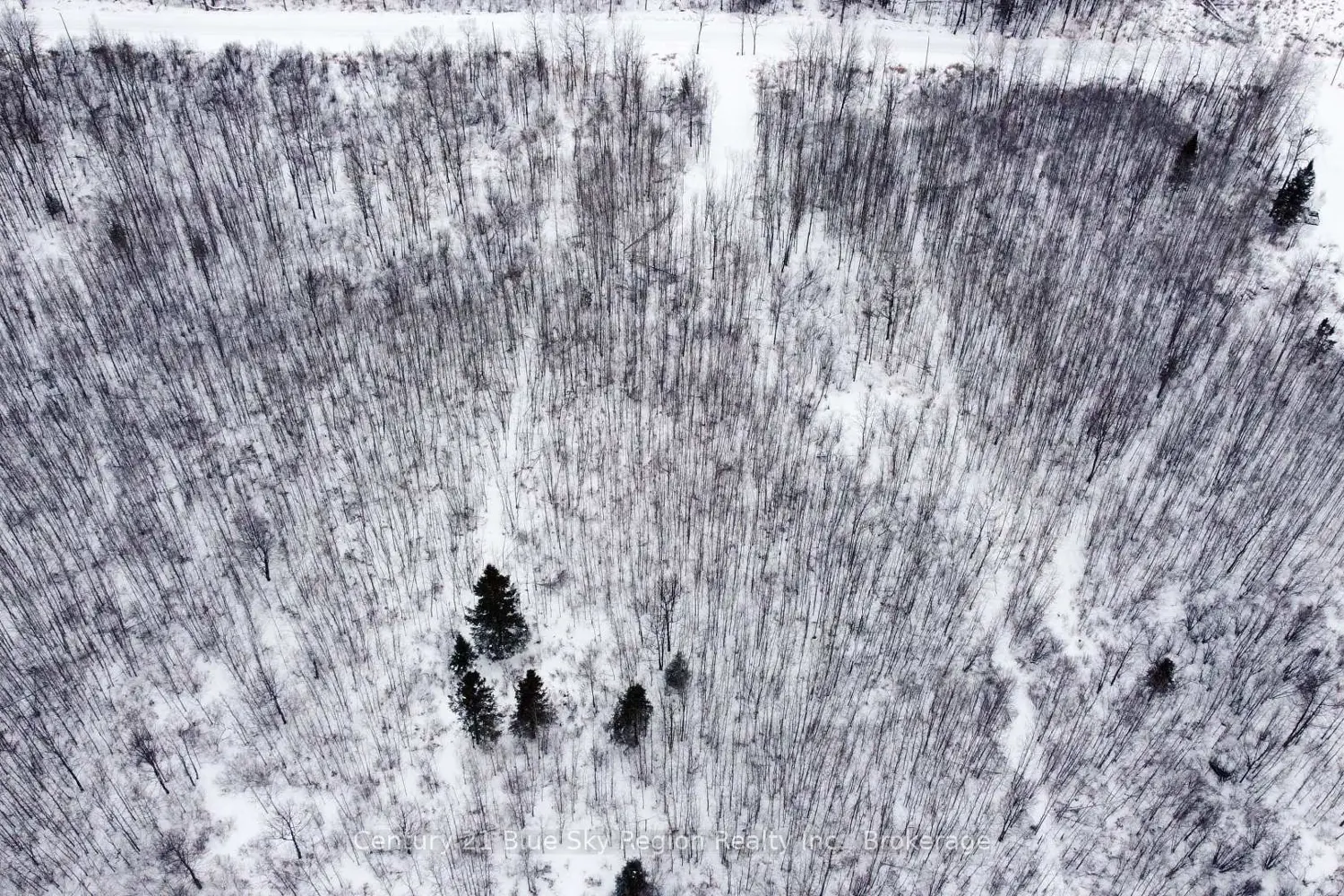 Additional image 11 of 249 Hills Siding Road