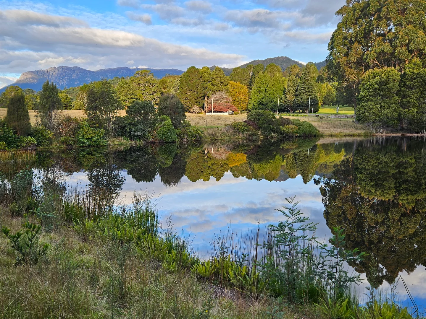 12384 Murchison Highway, Rosebery TAS 7470