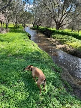 Additional image 16 of 1872 Spencers Brook Road, Mokine WA 6401