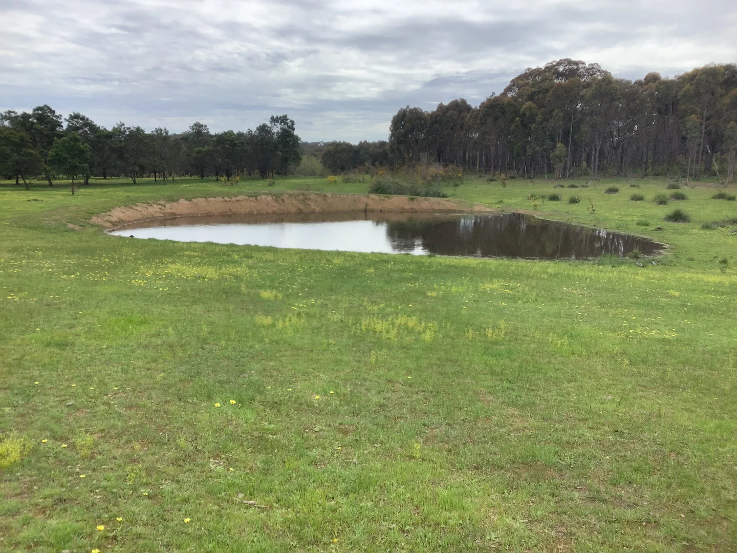 Additional image 3 of 90 Chetwynd Road, Whiteheads Creek VIC 3660