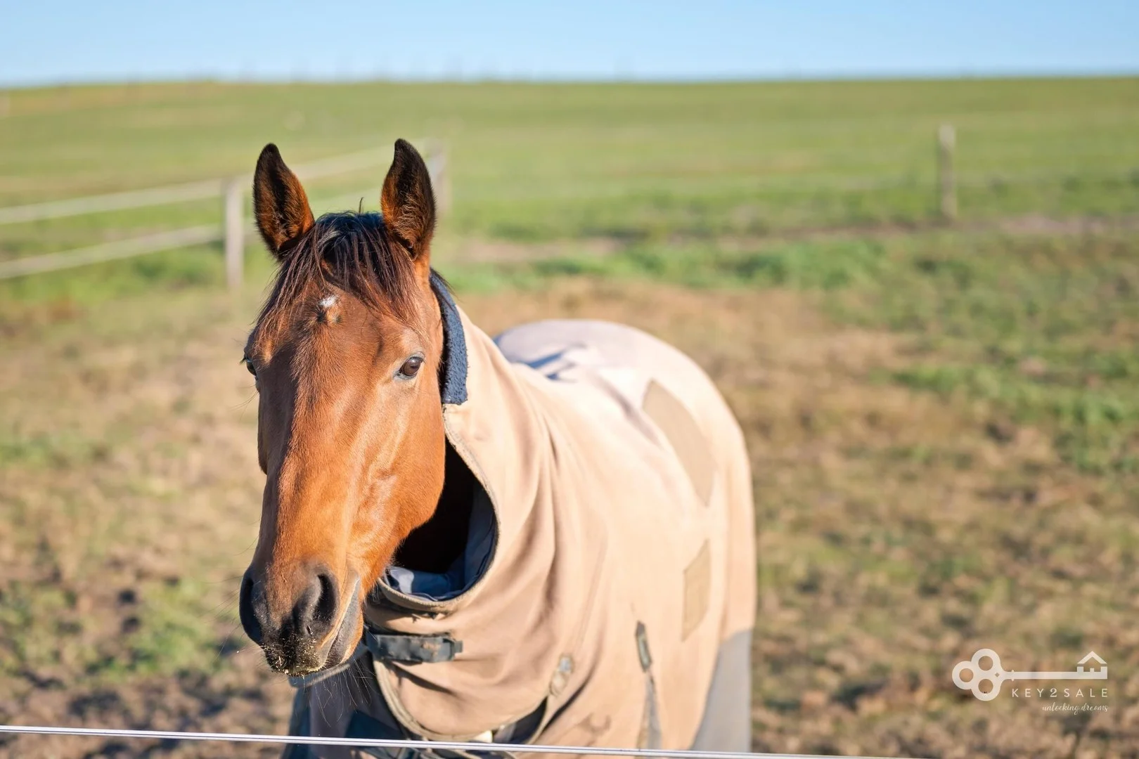 Additional image 2 of 72 Brown Road, Glenburnie SA 5291