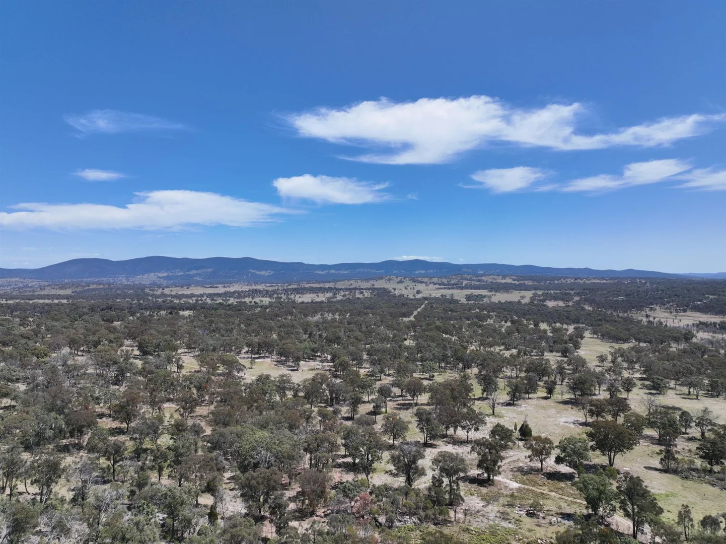 Additional image 29 of Lot 1 Brusharbers Road, Tenterfield NSW 2372