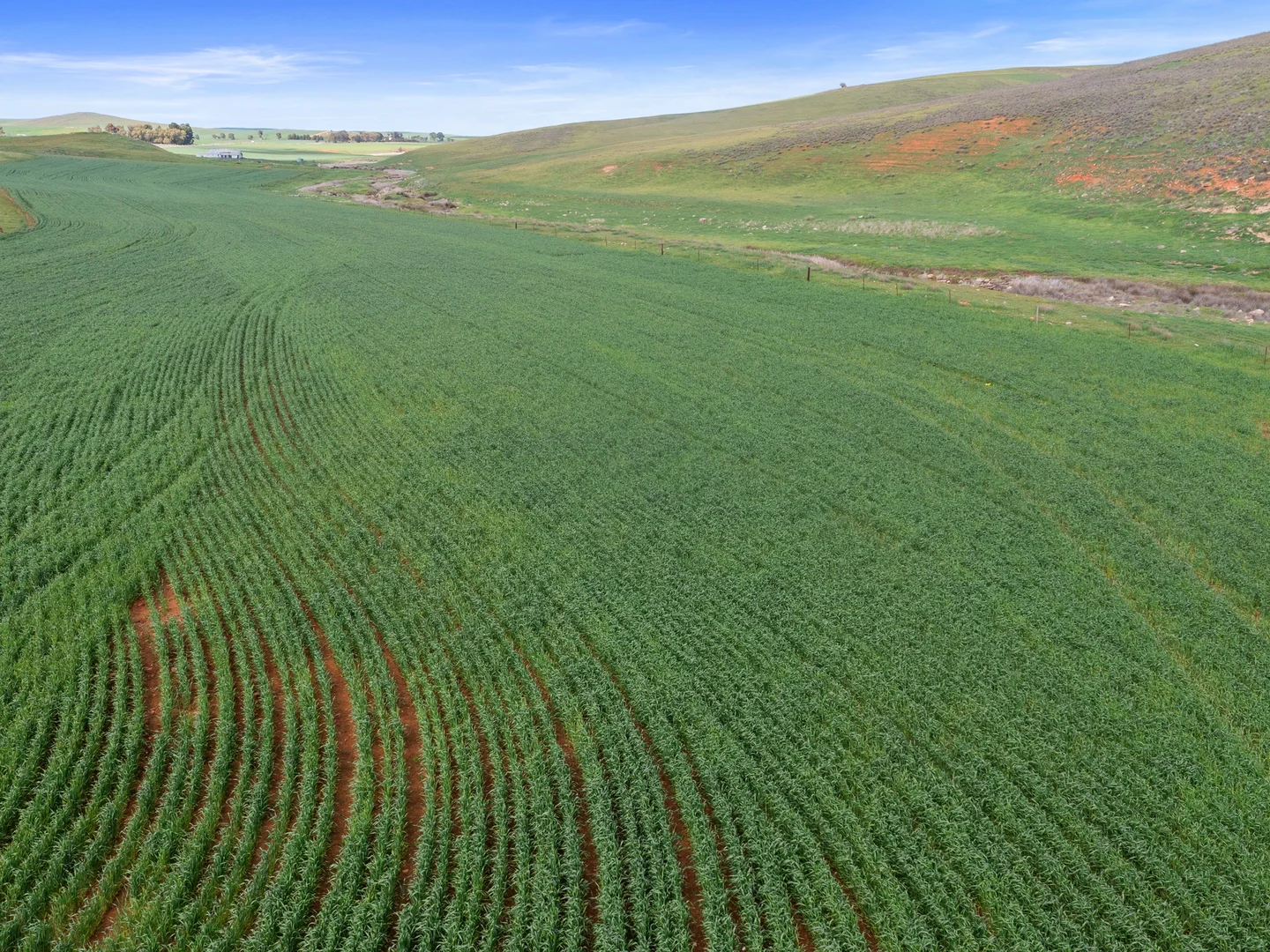 Additional image 2 of 2489 R M Williams Way, Spalding SA 5454