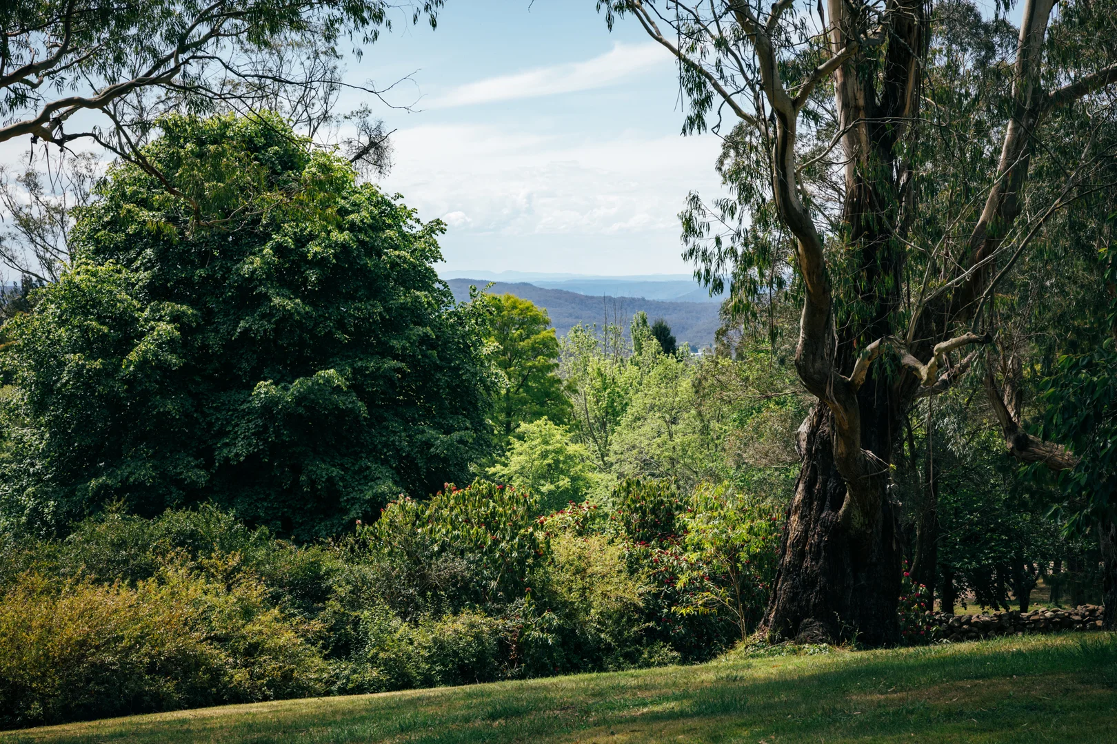 Additional image 22 of 1171 Old South Road, Bowral NSW 2576