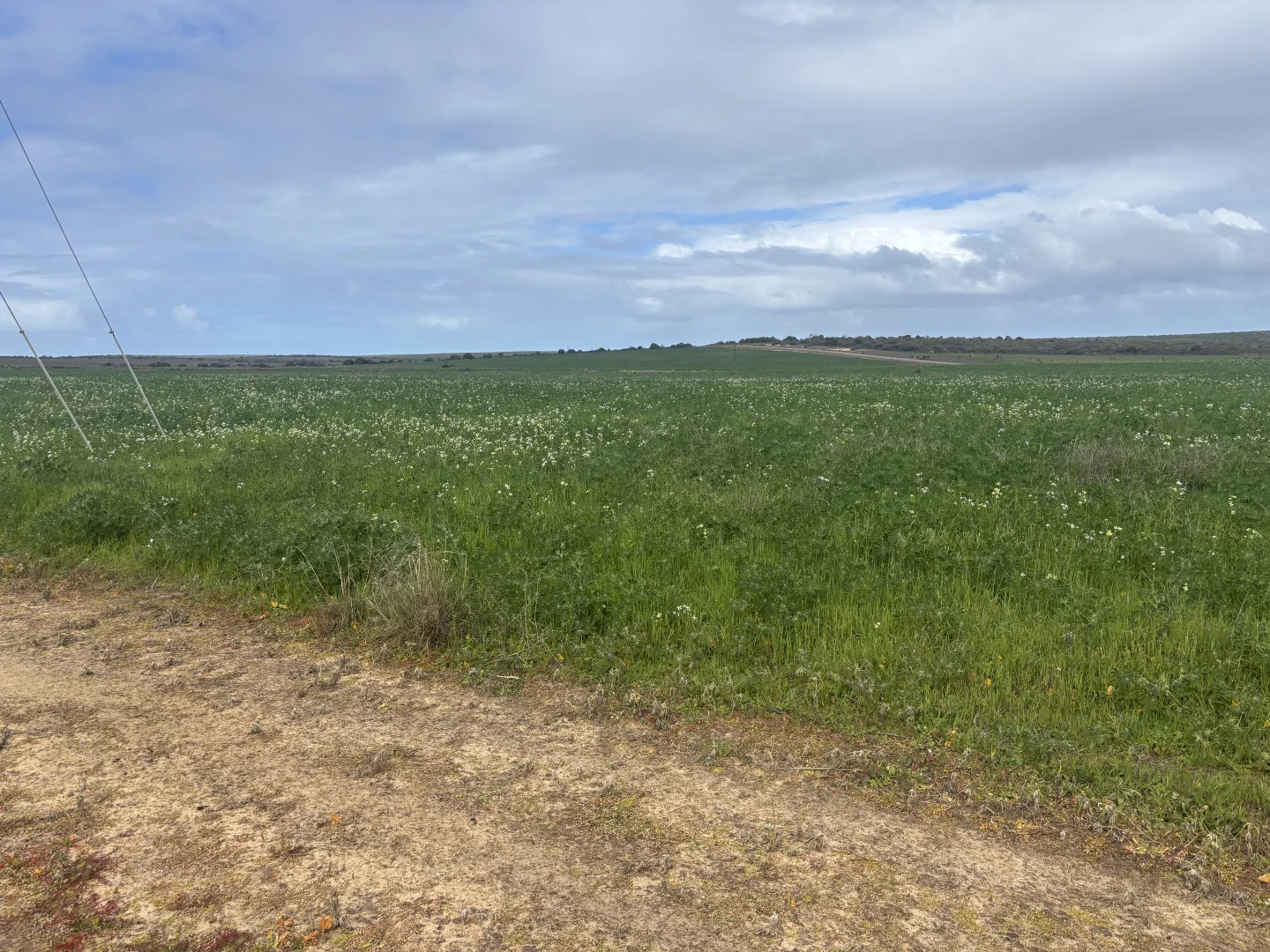 Additional image 11 of Lot 17 White Cliffs Road, Sandy Gully WA 6535