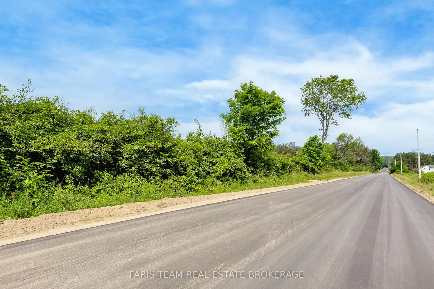 Additional image 4 of 584 Curry Road