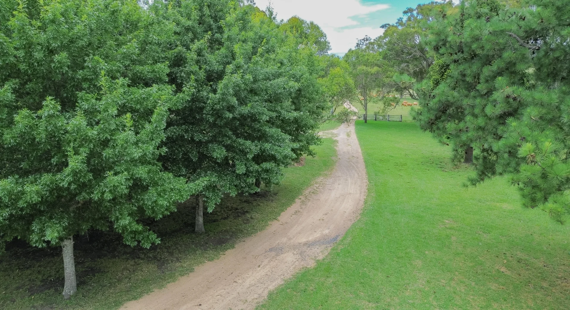 Additional image 8 of 80 Tooloom Street, Legume NSW 2476