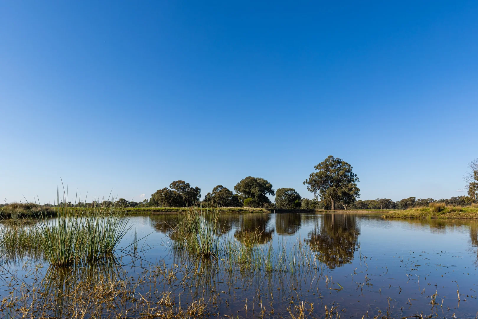 Additional image 8 of 242 Frost Road, Killawarra VIC 3678