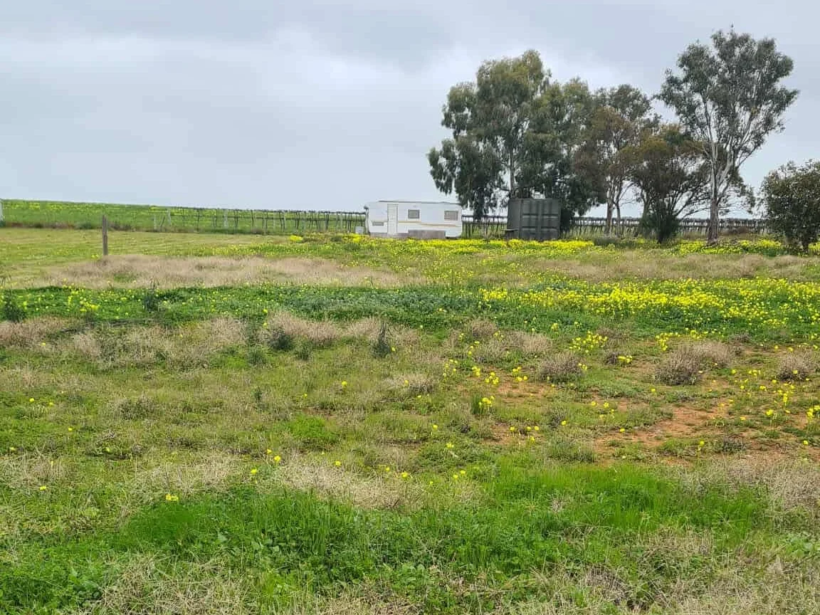 Additional image 16 of 380 Gorton Drive, Mystic Park VIC 3579