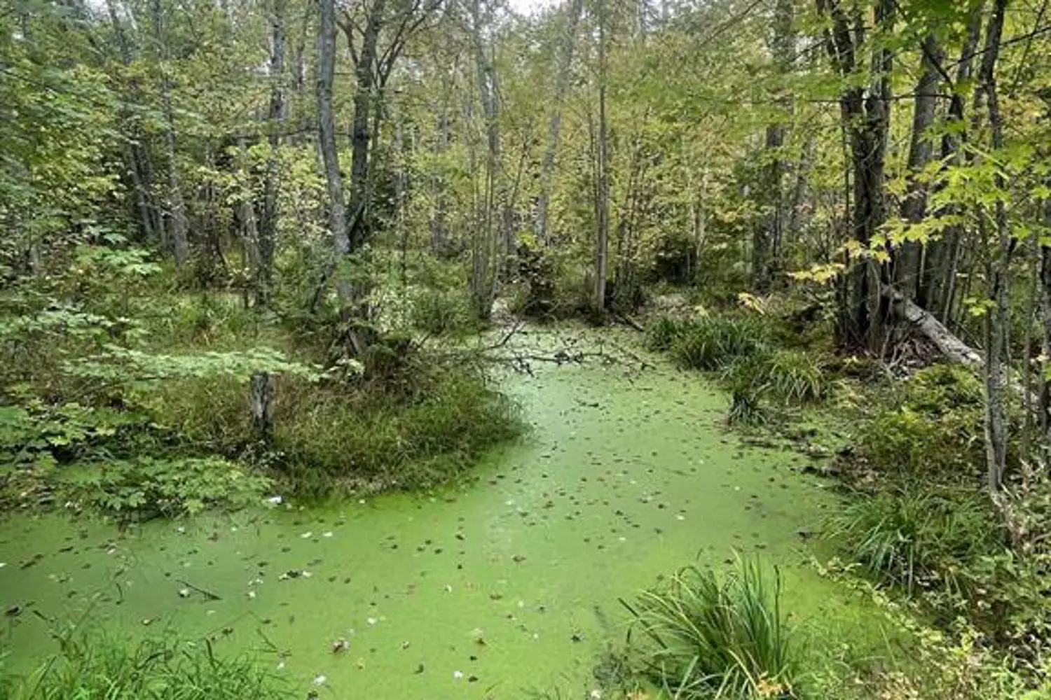 Additional image 7 of 00 Adams-Cummings Road