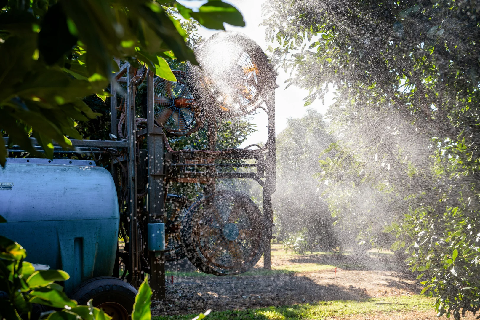 Additional image 20 of 'Ravensbourne Ridge' 45 Blanck Road, Ravensbourne QLD 4352