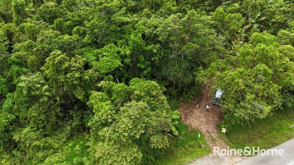 Additional image 16 of Lot 81 Cape Tribulation Road, DIWAN,, Daintree QLD 4873