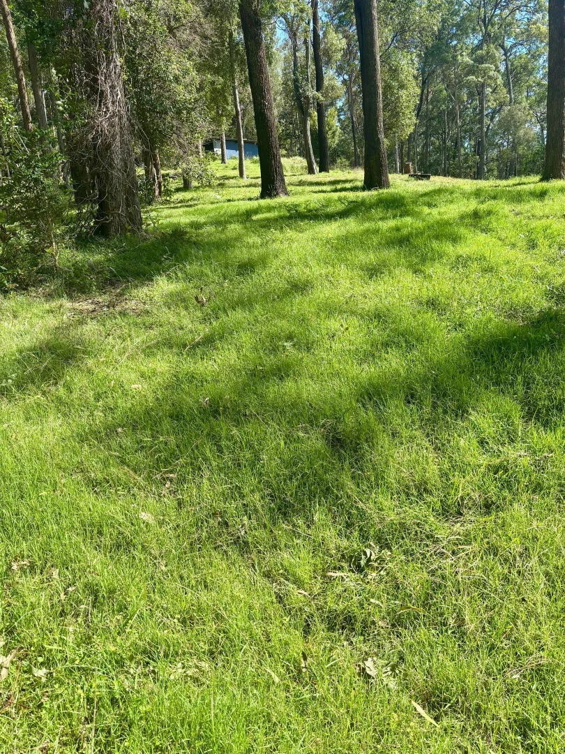 Additional image 32 of Ashby NSW 2463