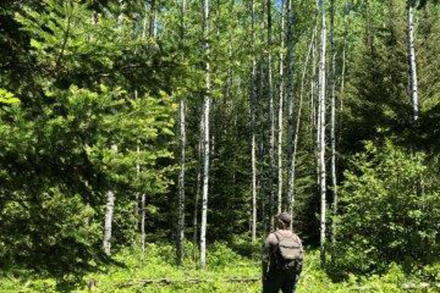 Additional image 9 of 38.24 Acres - Pcl 24640 N/A