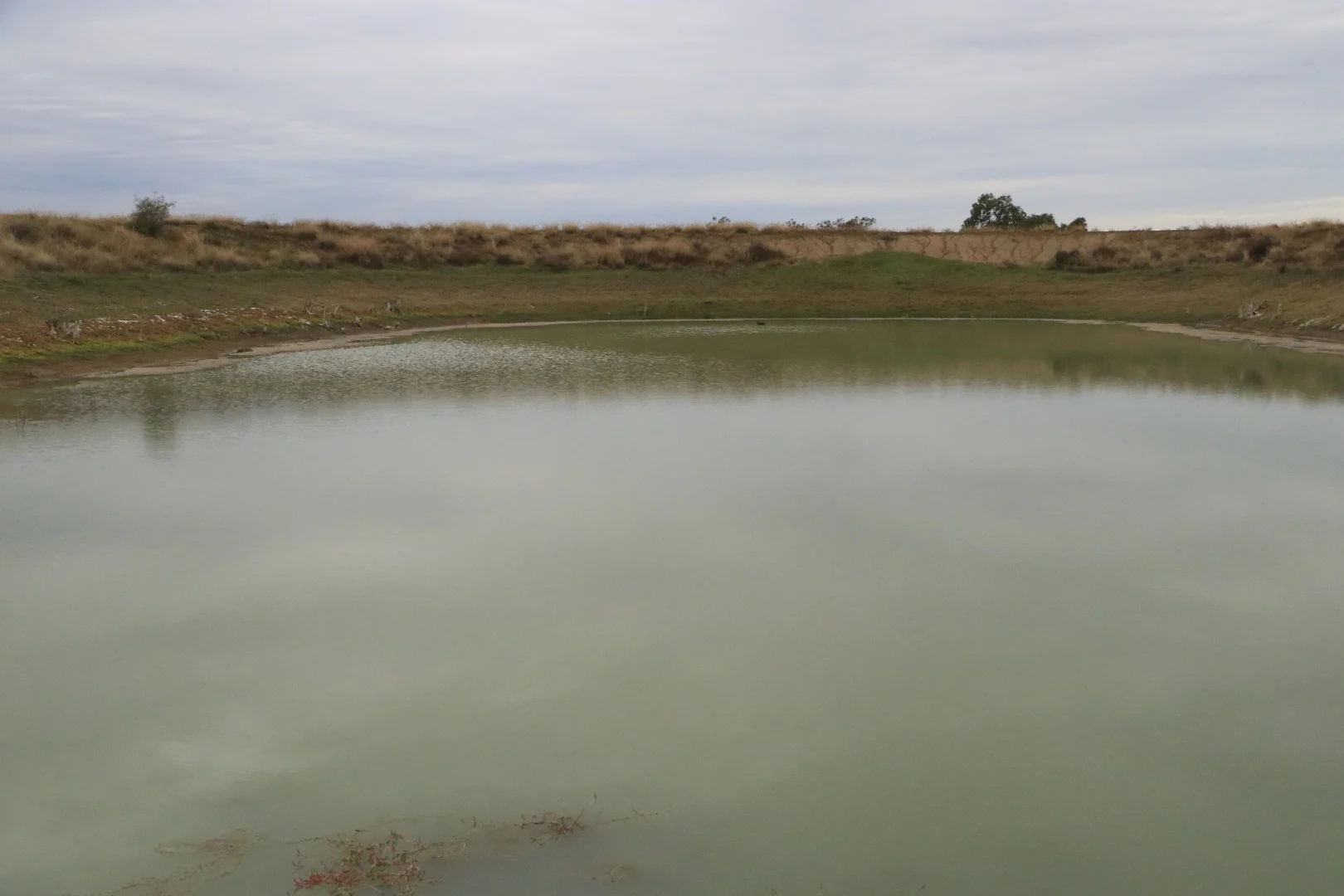 Additional image 6 of Ona Ona Road, Roma QLD 4455