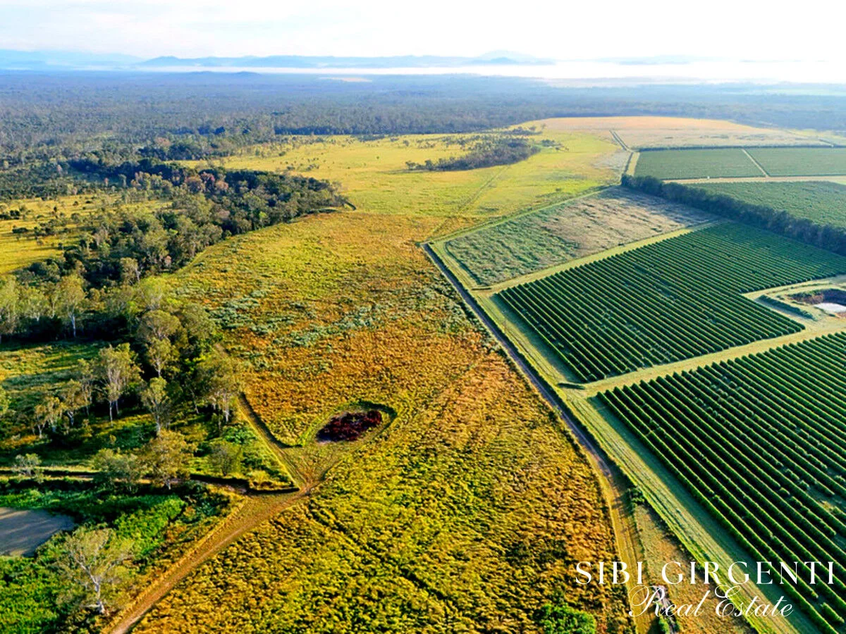 Additional image 3 of 326 Springs Road, Paddys Green QLD 4880