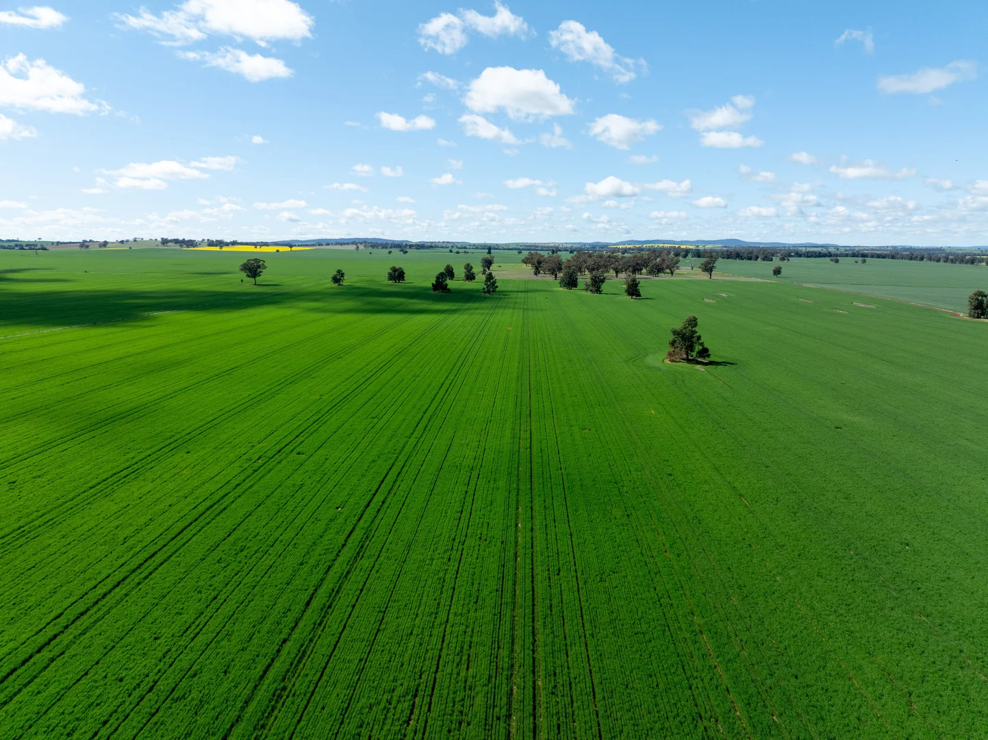 Additional image 2 of 532 Cottee Road, Currawarna NSW 2650