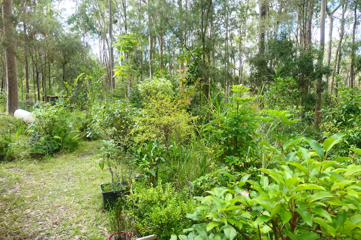 Additional image 6 of Lot 5 Long Gully Road, Drake NSW 2469
