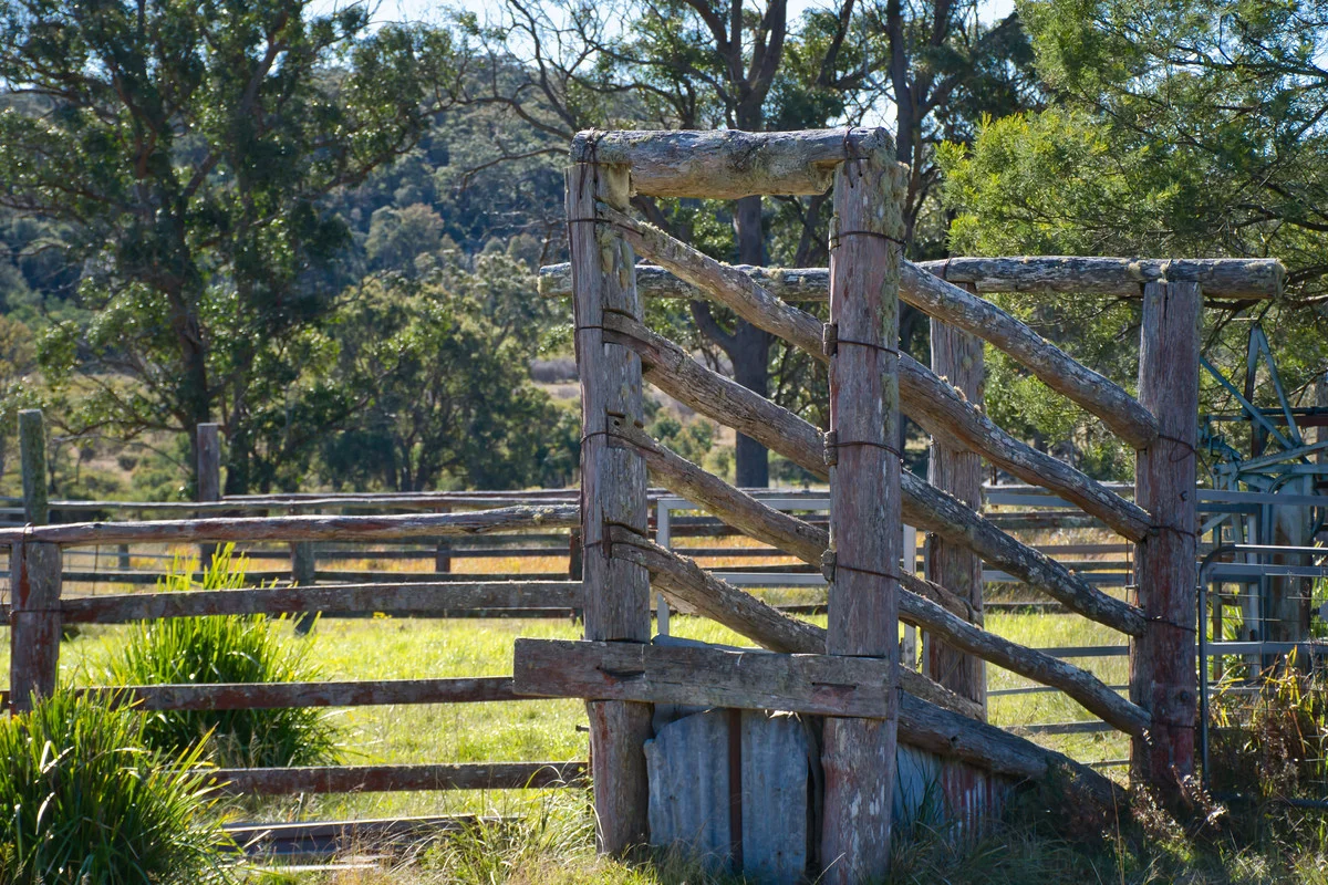 Additional image 9 of Puglisi Road, Dalveen QLD 4374