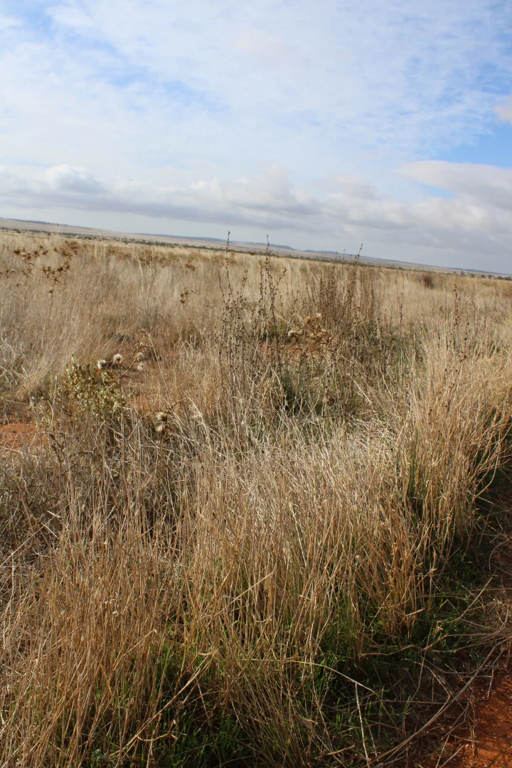 Additional image 42 of 1860 Cleary Road, Terowie SA 5421