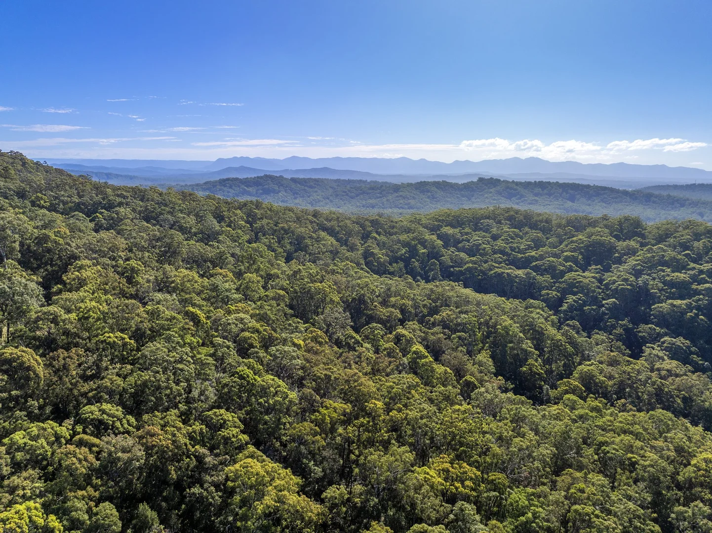 Additional image 10 of 77 Bowerbird Lane, Valla NSW 2448