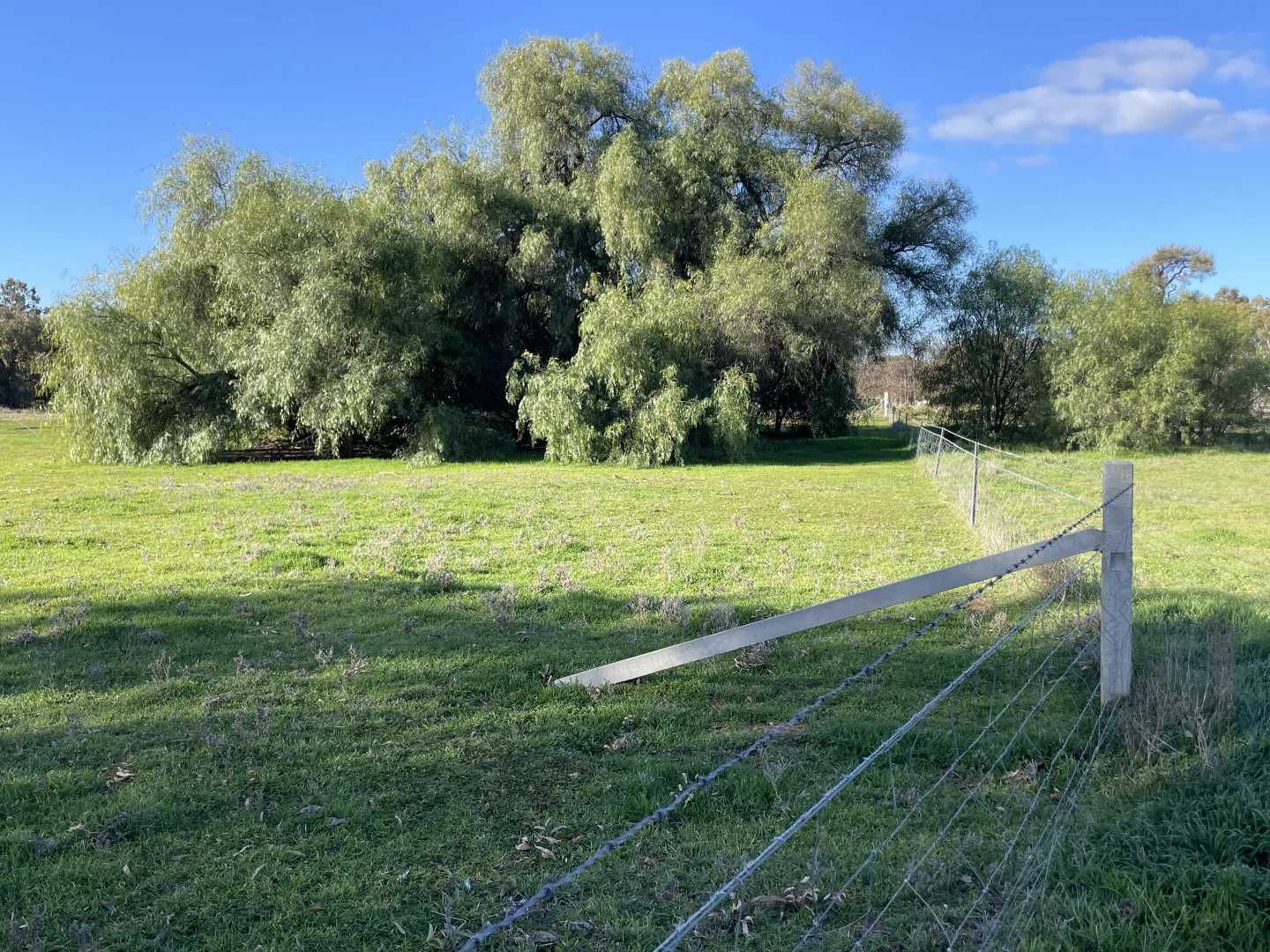 Additional image 12 of 'Kindimindi' 6176 Wakool Road, Wakool NSW 2710