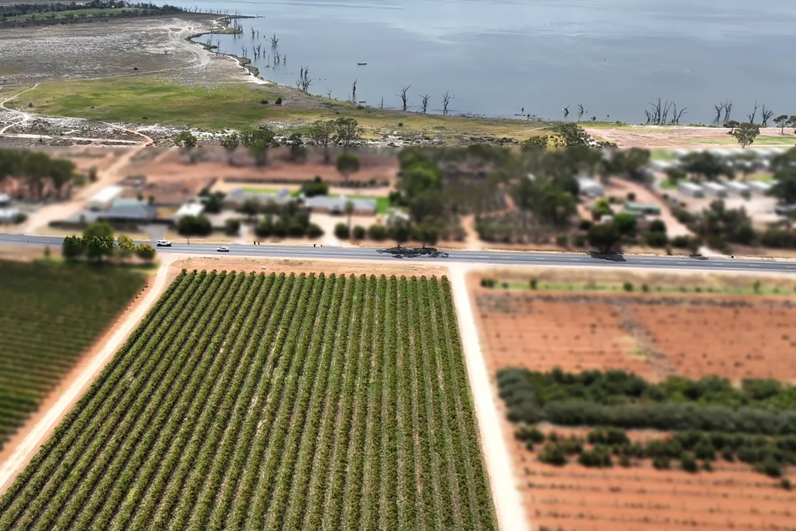 Additional image 19 of 17324 Sturt Highway, Barmera SA 5345