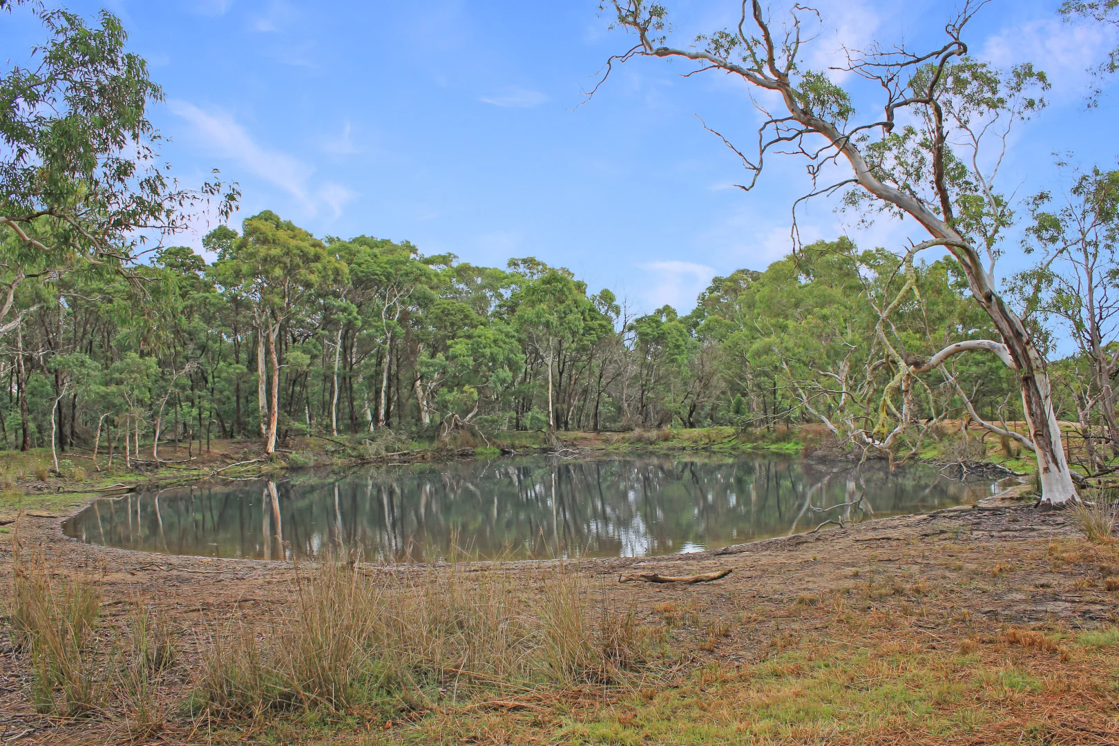 Additional image 10 of 272 Inverary Road, Paddys River NSW 2577