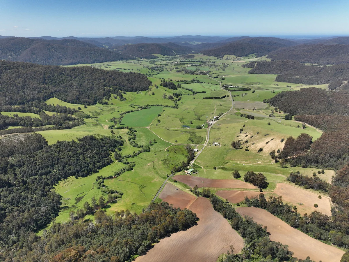 Additional image 20 of 569 St Columba Falls Road, Pyengana TAS 7216