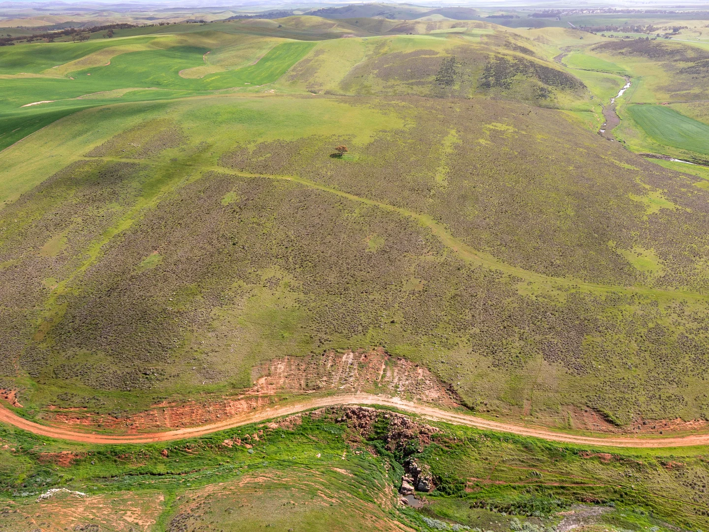 Additional image 11 of 2489 R M Williams Way, Spalding SA 5454