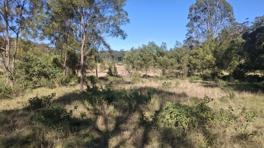 Additional image 5 of Lot 7 Donovan Road, Cabarlah QLD 4352