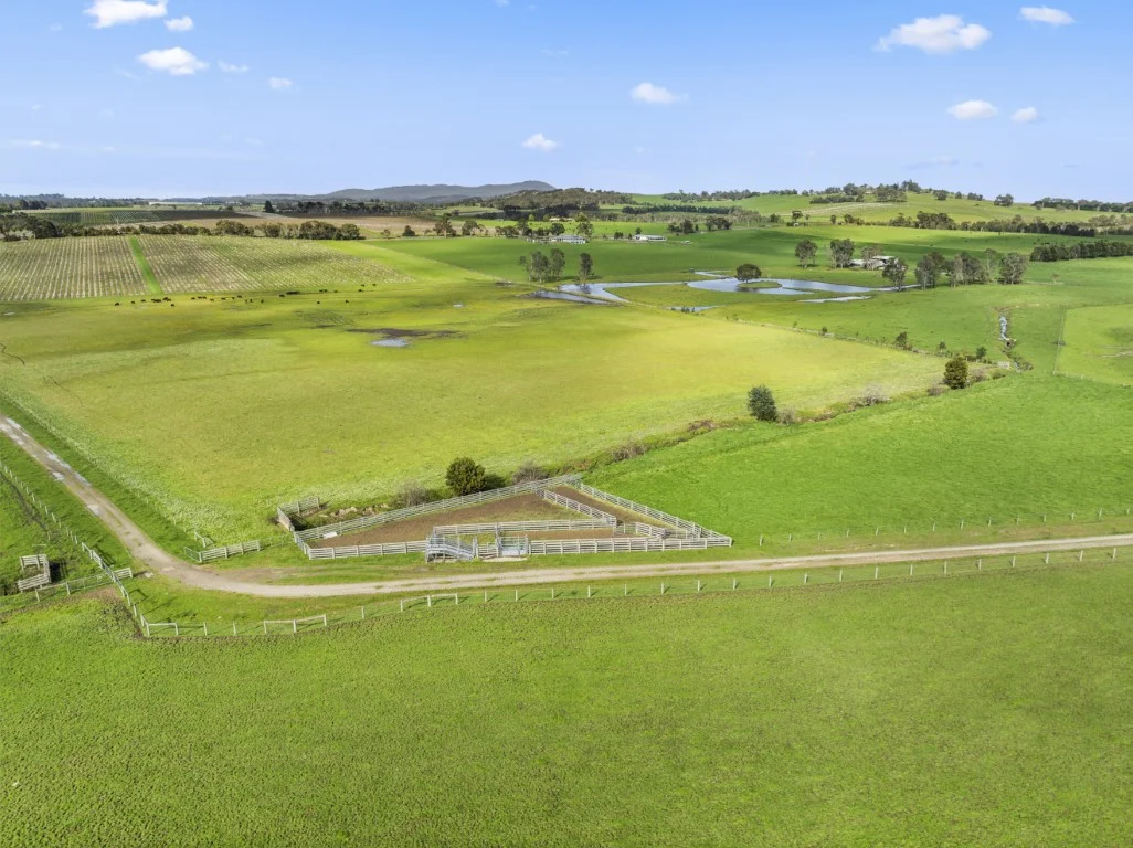 Additional image 5 of 737 Maroondah Highway, Coldstream VIC 3770