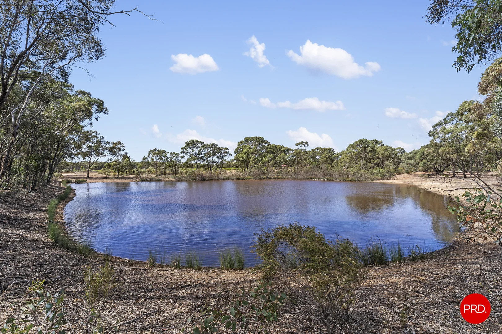 Additional image 5 of 140 Forest Drive, Myers Flat VIC 3556