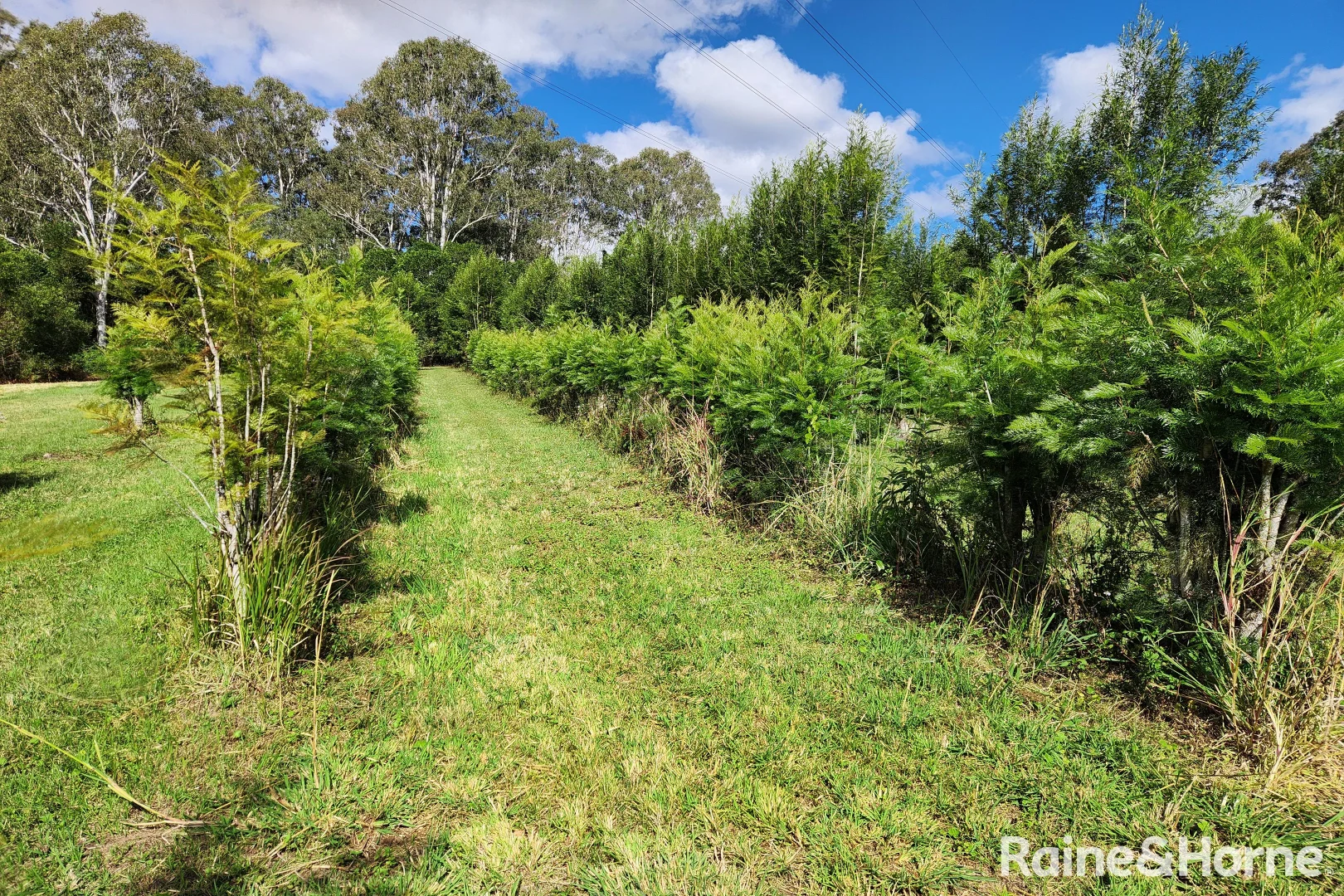 Additional image 3 of 163 Cedar Creek Road, Belli Park QLD 4562