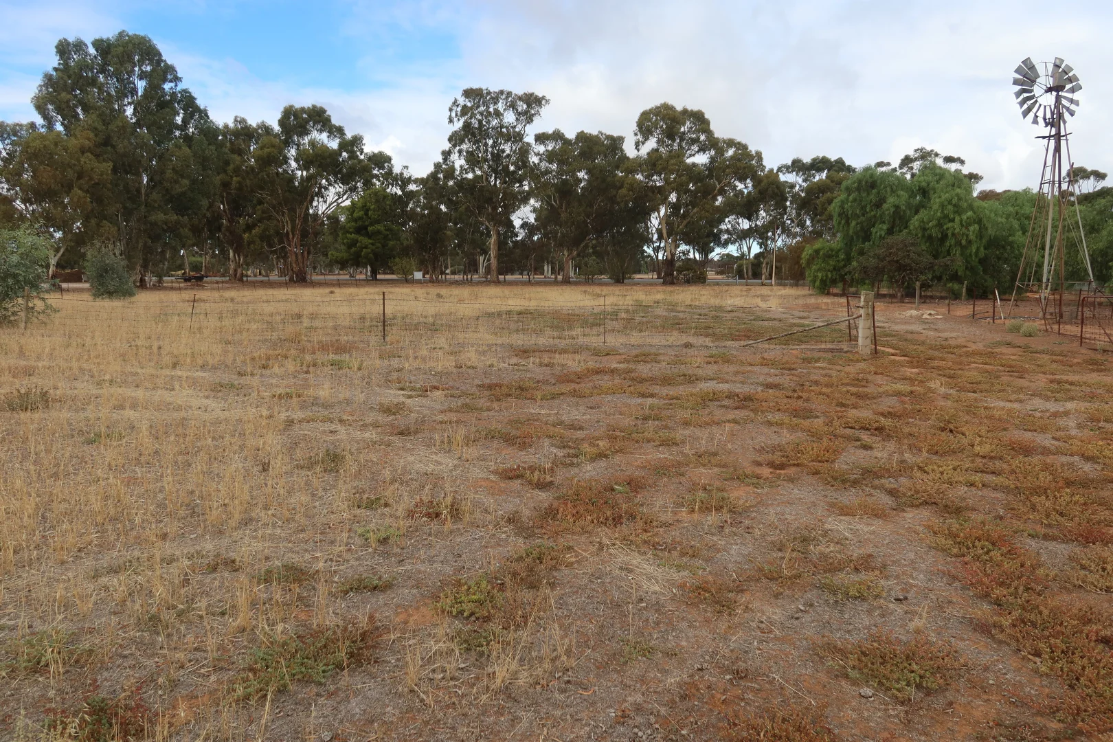 Additional image 6 of Lot 41 Wilkins Highway, Jamestown SA 5491